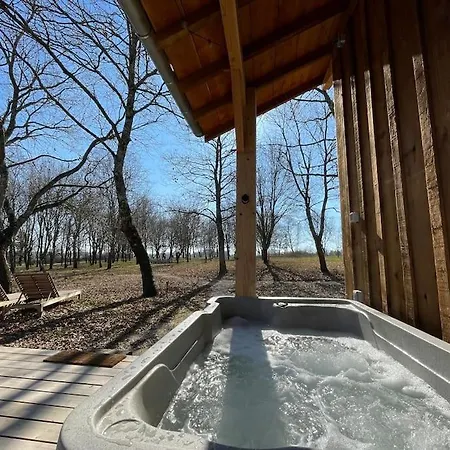 Dome Insolite Lichen Jacuzzi Et Petits-dejeuners Inclus * Gondrin