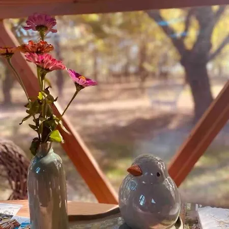 Dome Insolite Lichen Jacuzzi Et Petits-dejeuners Inclus Luxury tent